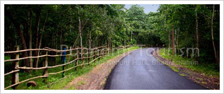 papikondalu trip,papikondalu tours